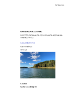 Selostus__Nimeton_Patarauta_Renko_RAKM_Ehdotus_8.3.2023