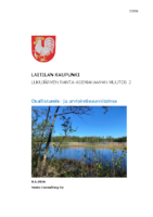 Selostus_Liite_2_OAS_8.6.2026